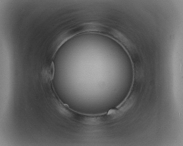 X0000112141369200908141146