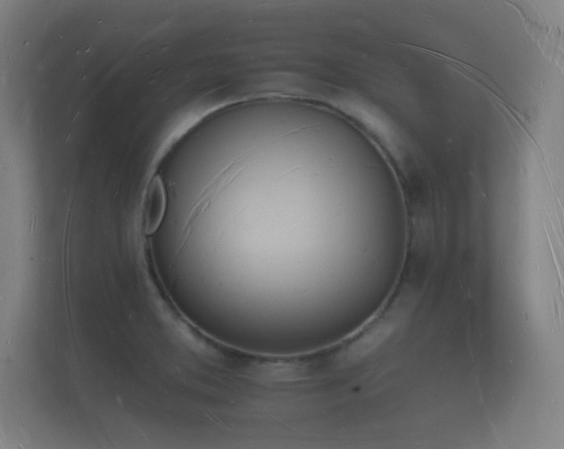 X0000112141373200908141145