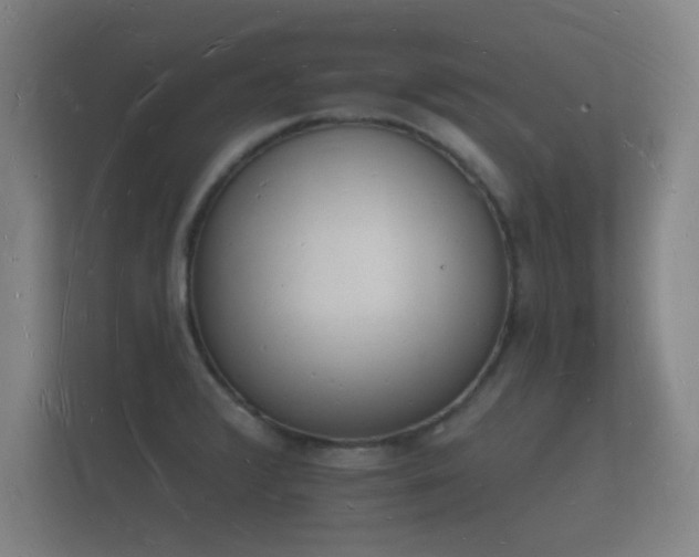 X0000112141376200908141145