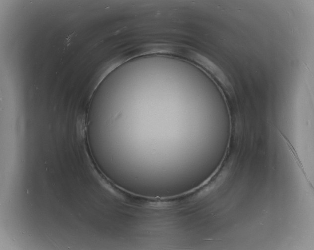X0000112141377200908141145