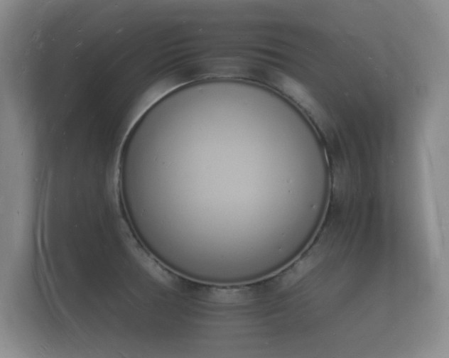 X0000112141378200908141145