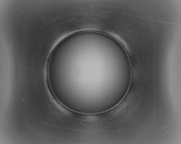 X0000112141383200908141145