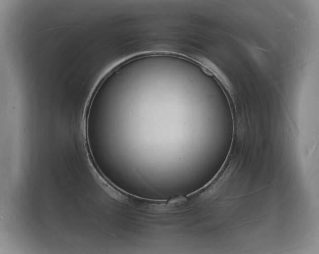 X0000112141388200908141145