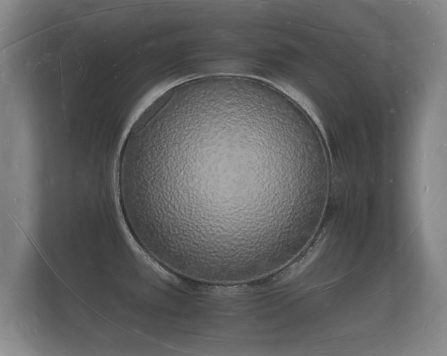 X0000112141389200908141145