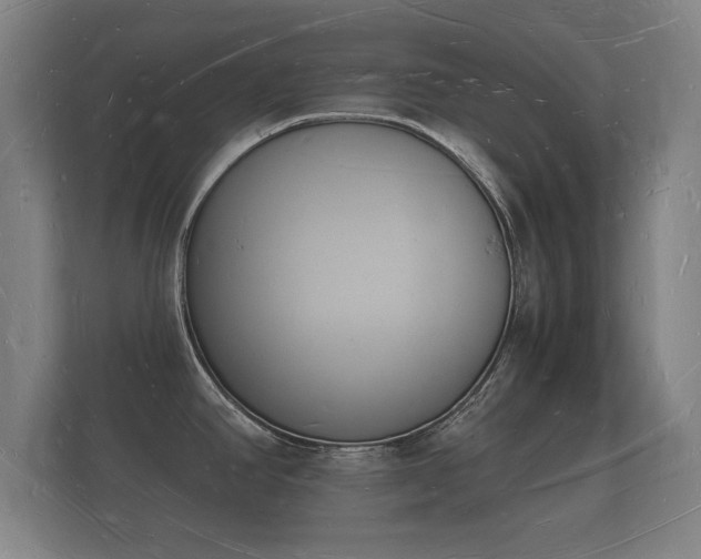 X0000112141390200908141145