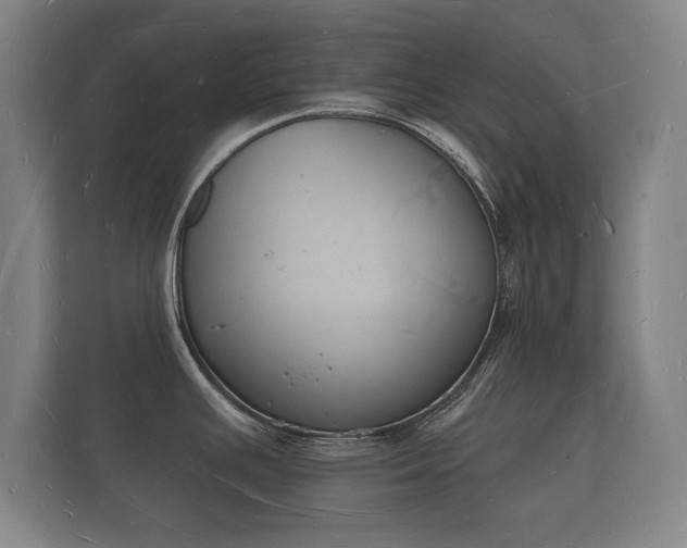 X0000112141391200908141145