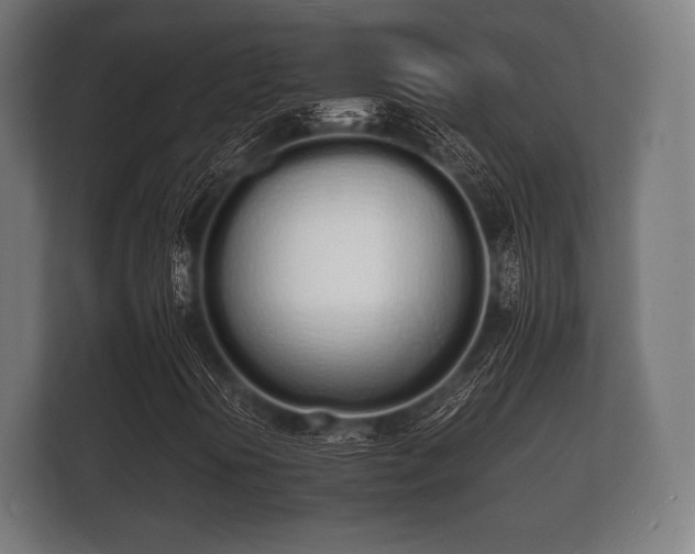 X0000112141394200908141145