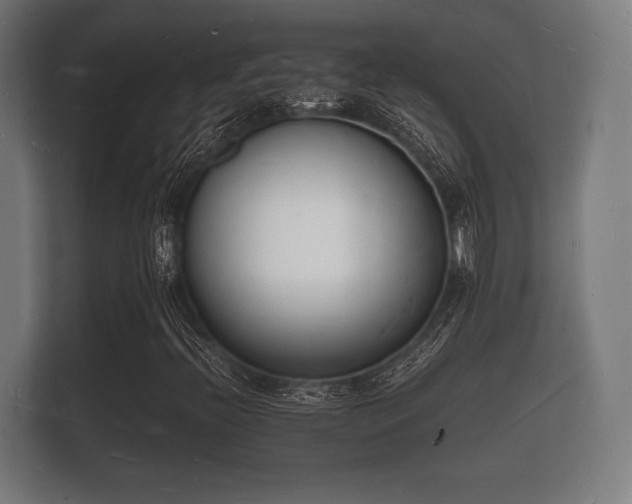 X0000112141396200908141145