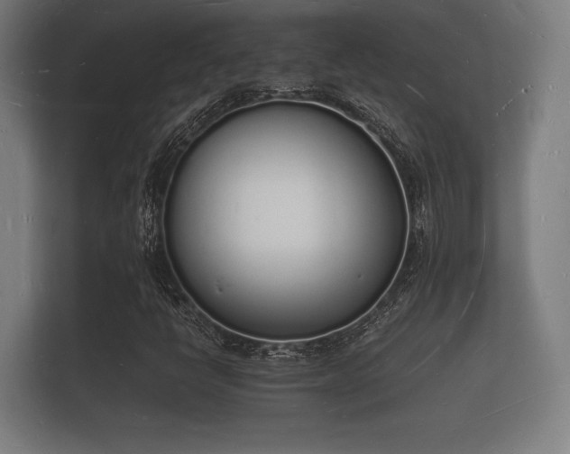 X0000112141398200908141145