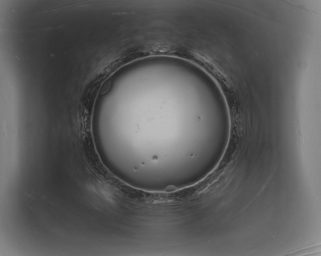 X0000112141399200908141145