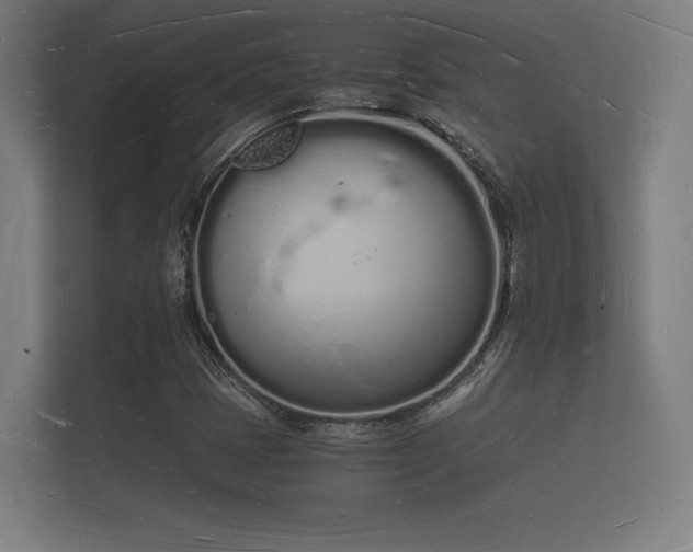 X0000112141401200908141145