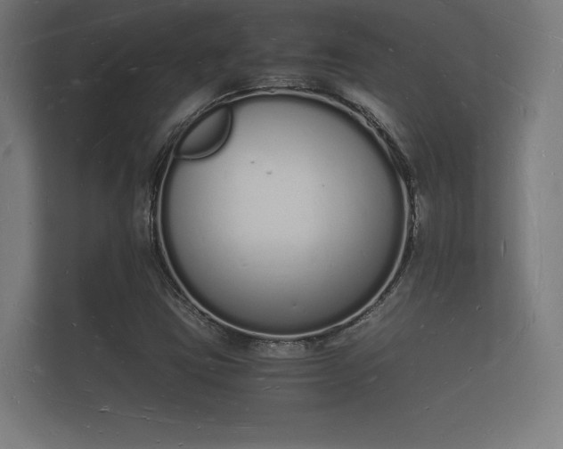 X0000112141403200908141145