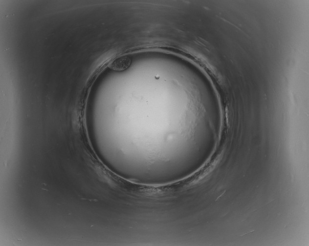 X0000112141405200908141145