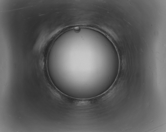 X0000112141406200908141145
