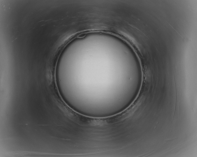 X0000112141407200908141145
