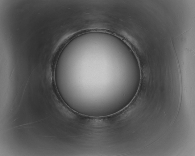 X0000112141408200908141145