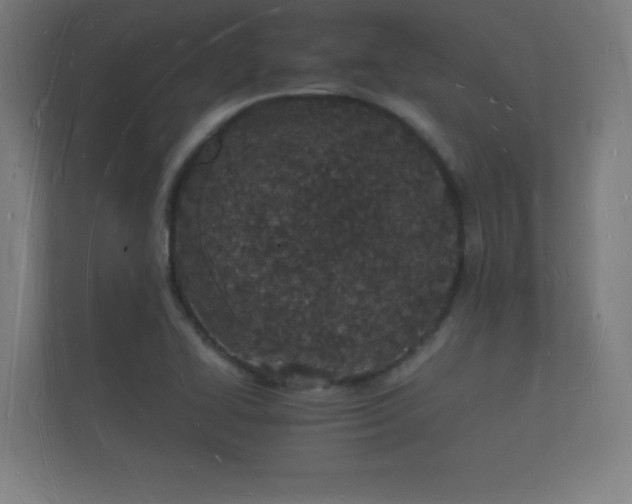 X0000112141414200908141145