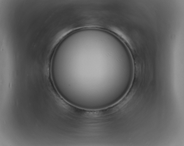 X0000112141415200908141145