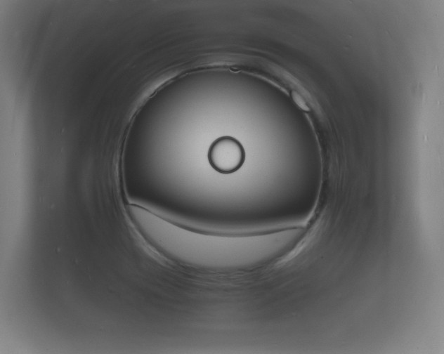 X0000112141417200908141145