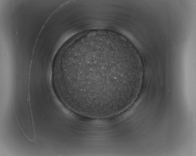 X0000112141418200908141145