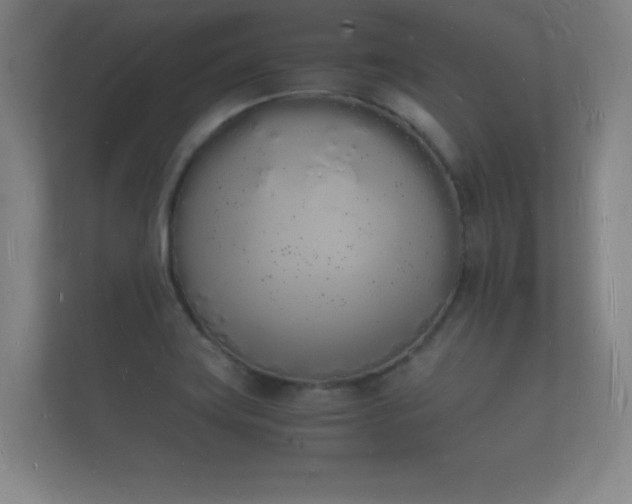 X0000112141419200908141145