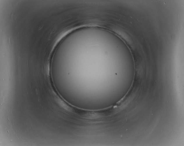 X0000112141420200908141145