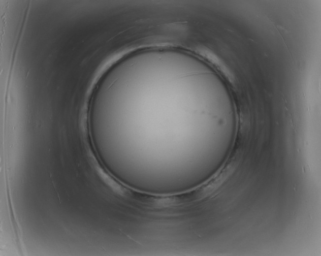 X0000112141421200908141145