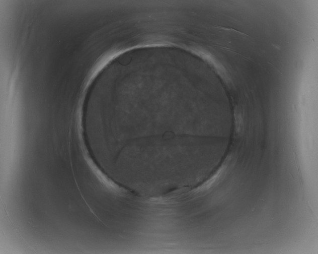 X0000112141422200908141145
