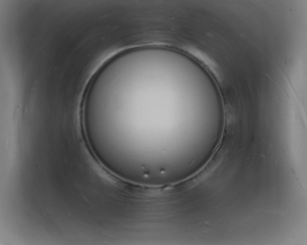 X0000112141423200908141145