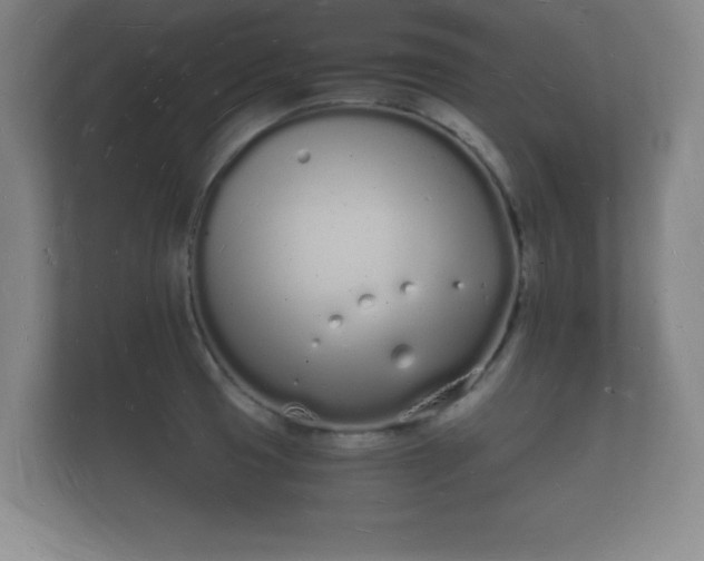 X0000112141425200908141145