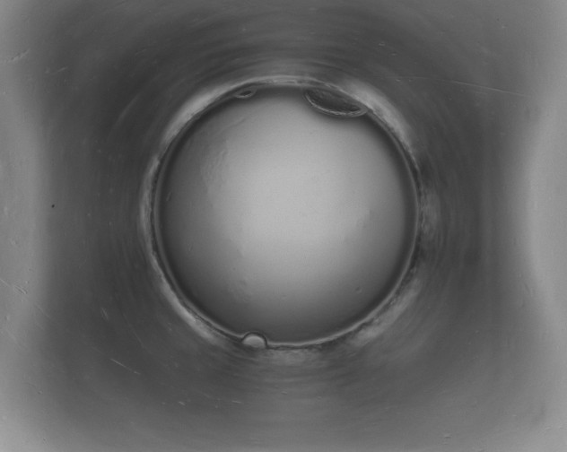 X0000112141429200908141145