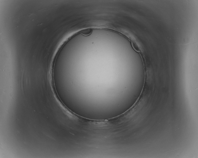 X0000112141432200908141145
