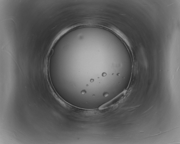 X0000112141437200908141145