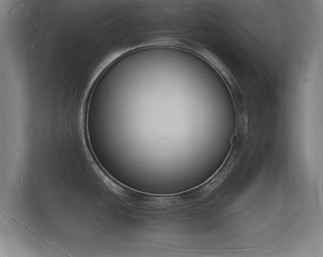 X0000112141438200908141145