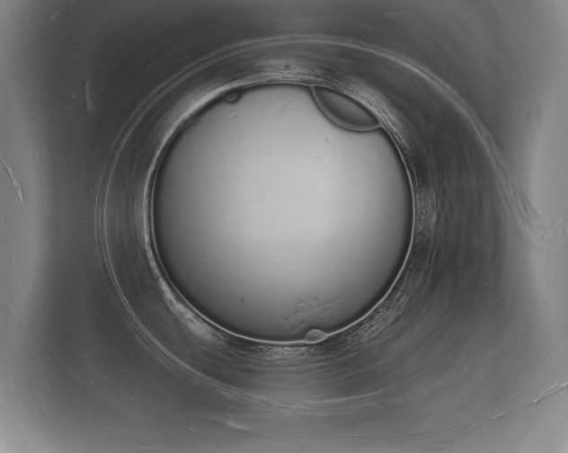 X0000112141439200908141145