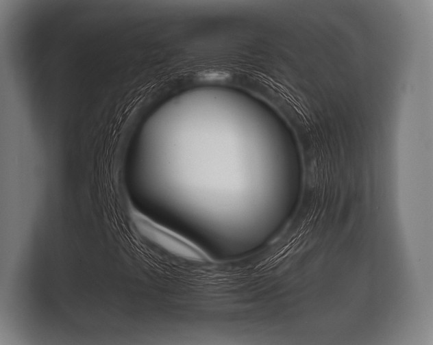 X0000112141441200908141145