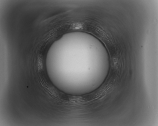 X0000112141442200908141145