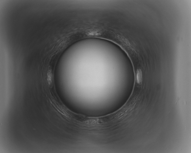 X0000112141444200908141145