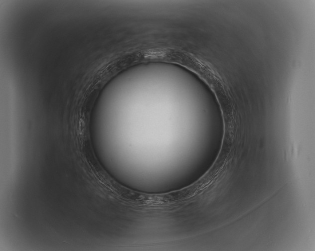 X0000112141445200908141145
