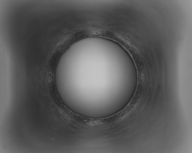 X0000112141447200908141145
