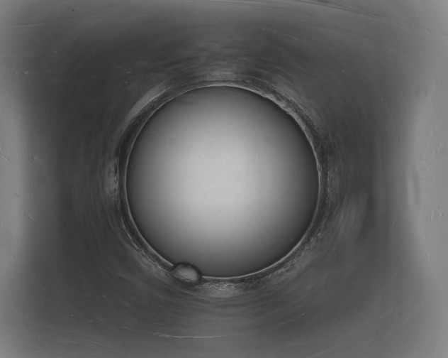 X0000112141450200908141144