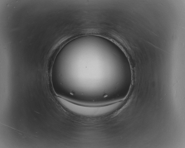 X0000112141453200908141144