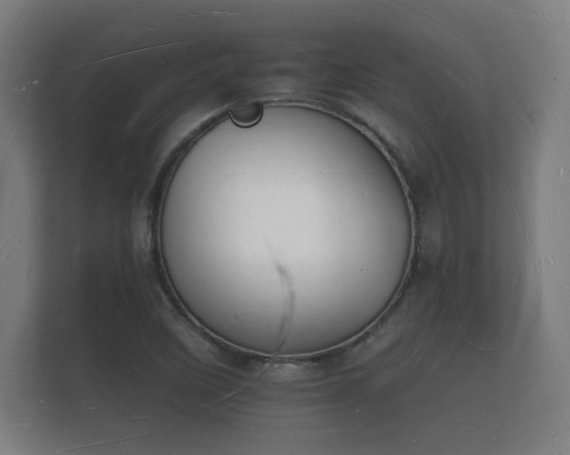 X0000112141458200908141144