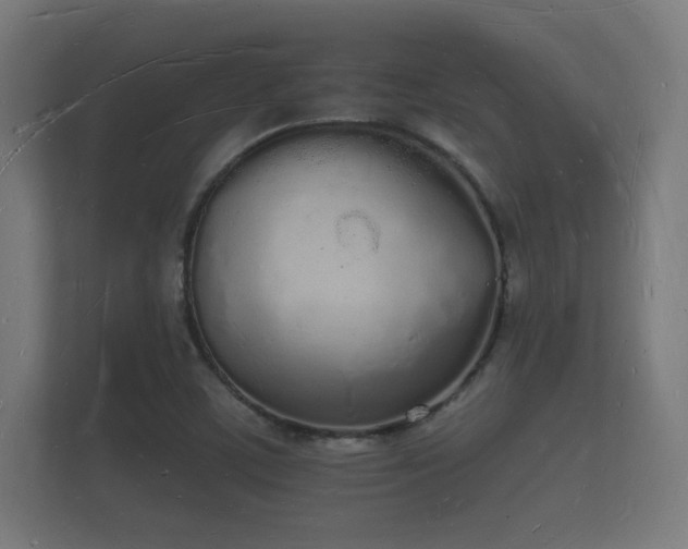X0000112141459200908141144