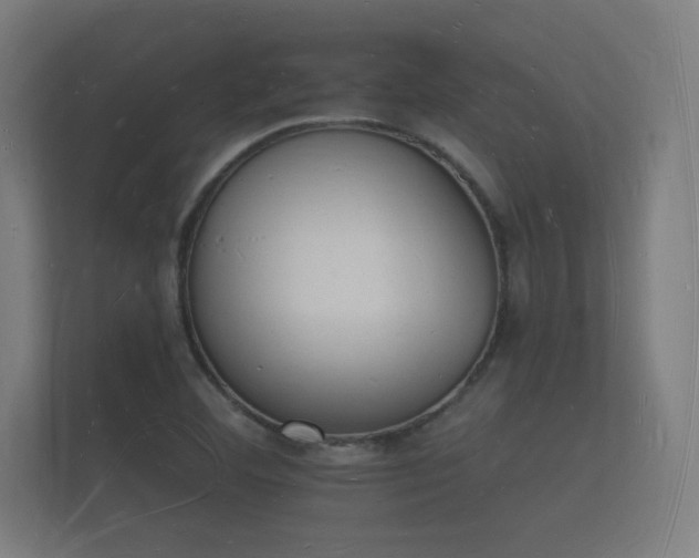 X0000112141460200908141144