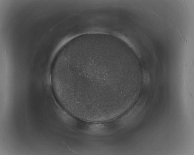 X0000112141462200908141144