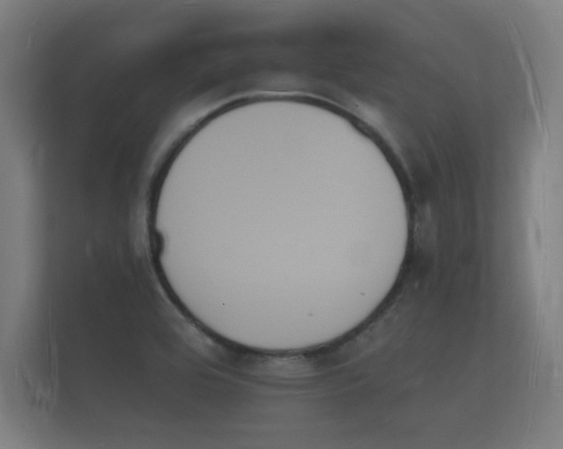 X0000112141464200908141144
