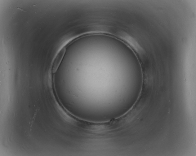 X0000112141468200908141144