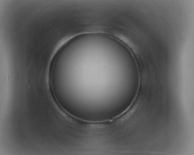 X0000112141469200908141144