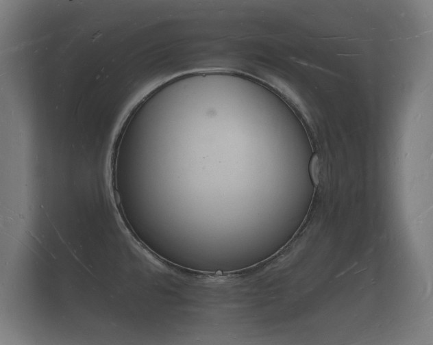 X0000112141480200908141144
